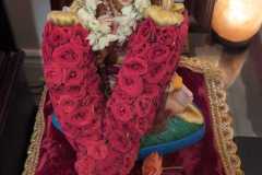 WhatsApp-Image-2026-08-17-at-16.49.04